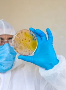 mold testing near me
