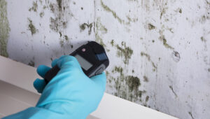 mold testing houston