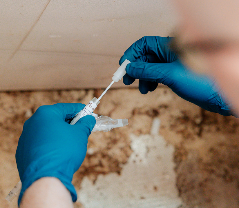 residential mold testing houston
